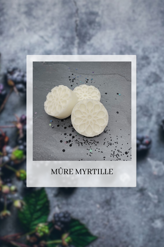 Mûre et Myrtille